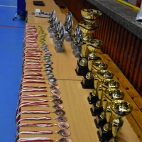 49203331_2220353691586167_7498681821261987840_n