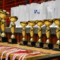 49289588_2220354278252775_2597787625838346240_n