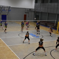 49770225_2220350338253169_7867558012351676416_n