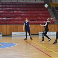 51051986_2239743316313871_4126281317283266560_n