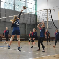 51074233_2239742999647236_3051876410462306304_n