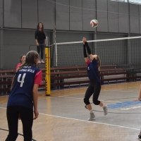 51151574_2239742279647308_464044175218704384_n