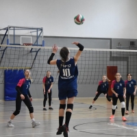 51182335_2239742812980588_6357387299931553792_n