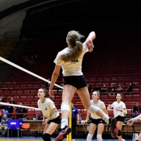 80320585_2486062341681966_6660439487962677248_o